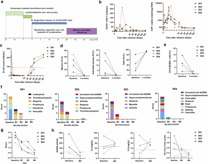 Allogeneic anti-CD19 CAR-T cells induce remission in refractory systemic lupus erythematosus