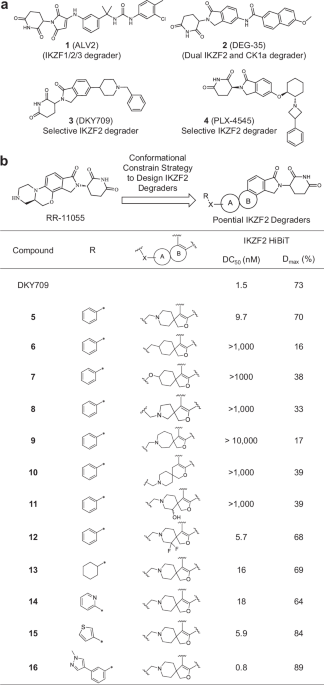 Development of PVTX-405 as a potent and highly selective molecular glue degrader of IKZF2 for cancer immunotherapy