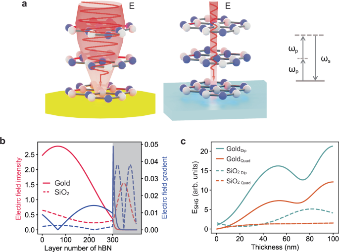Boosting classical and quantum nonlinear processes in ultrathin van der Waals materials