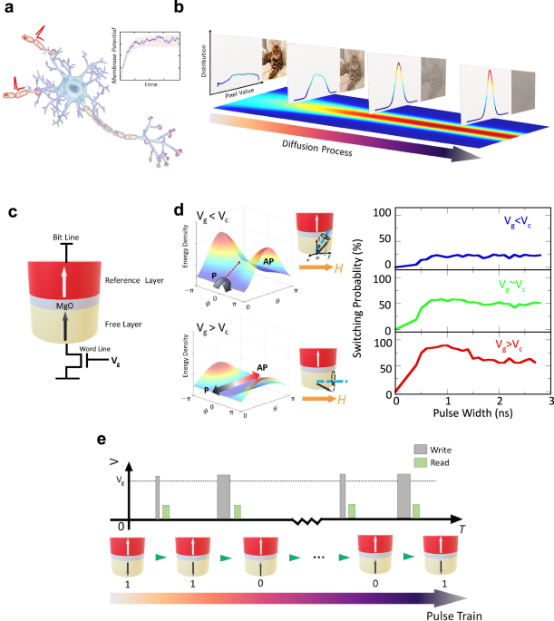 Voltage-controlled magnetoelectric devices for neuromorphic diffusion process