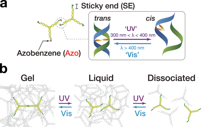 Remote-controlled mechanical and directional motions of photoswitchable DNA condensates