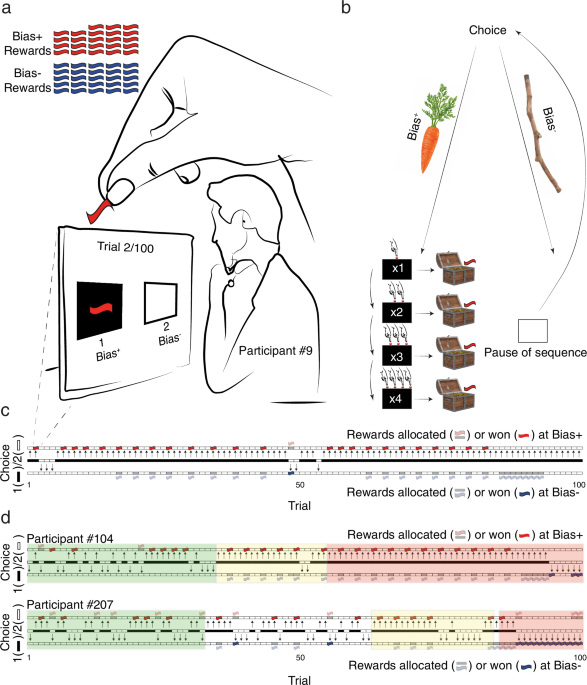 Using an algorithmic approach to shape human decision-making through attraction to patterns