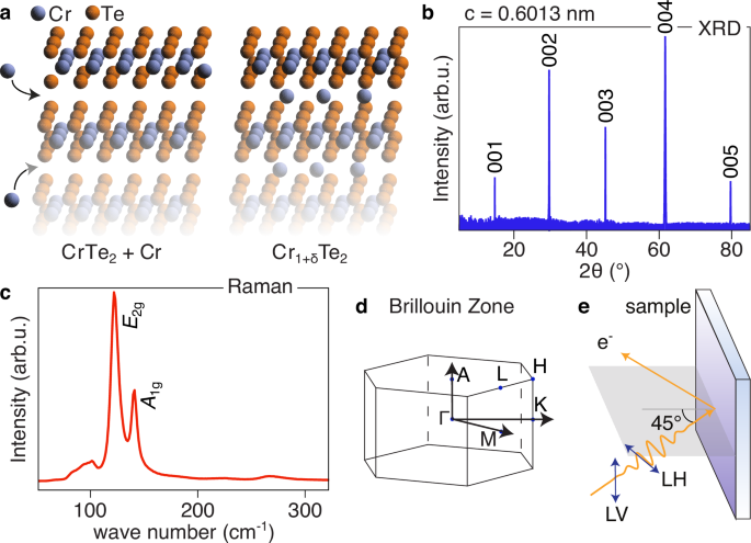 Bilayer orthogonal ferromagnetism in CrTe2-based van der Waals system