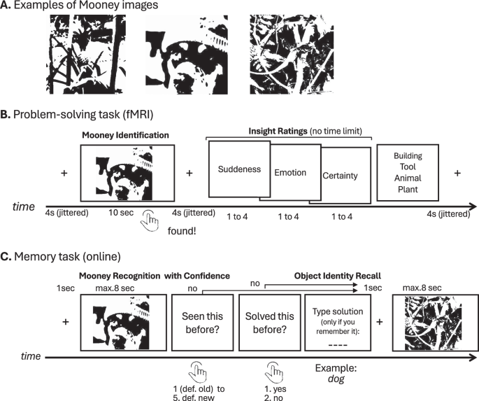 Insight predicts subsequent memory via cortical representational change and hippocampal activity