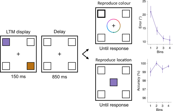 Focusing attention in working and long-term memory through dissociable mechanisms