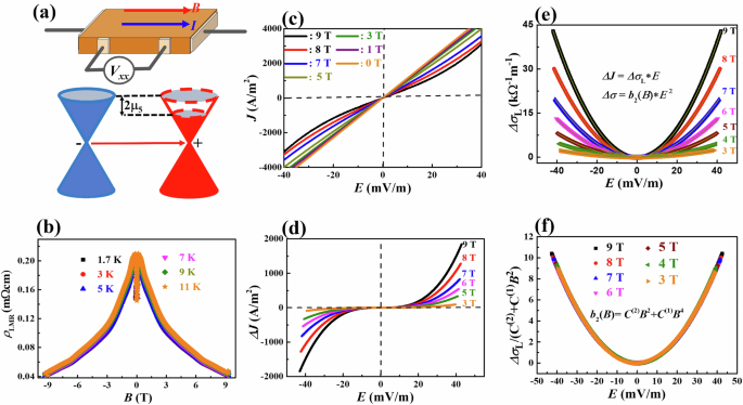 Observation of symmetry-forbidden rectification in an inversion-symmetric Weyl metal