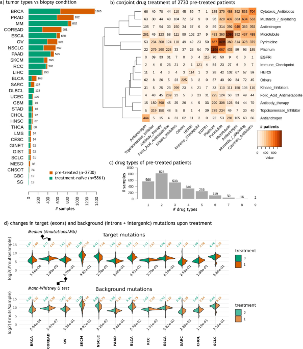 DiffInvex identifies evolutionary shifts in driver gene repertoires during tumorigenesis and chemotherapy