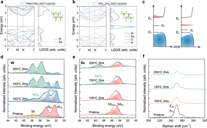 Uncovering the doping mechanism of nitric oxide in high-performance P-type WSe2 transistors