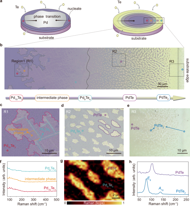 Stoichiometry-engineered phase transition in a two-dimensional binary compound
