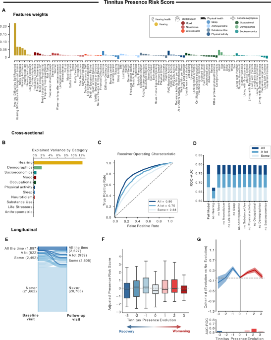 Tinnitus risk factors and its evolution over time