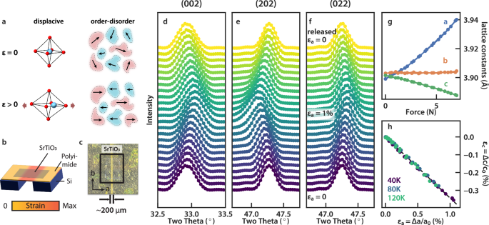 The classical-to-quantum crossover in the strain-induced ferroelectric transition in SrTiO3 membranes