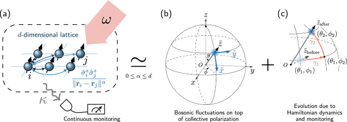 Monitored long-range interacting systems: spin-wave theory for quantum trajectories