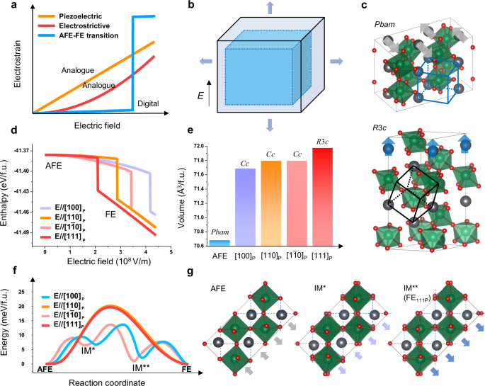 Ideal antiferroelectricity with large digital electrostrain in PbZrO3 epitaxial thin films