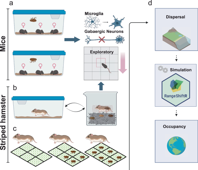 Ectoparasites enhance survival by suppressing host exploration and limiting dispersal