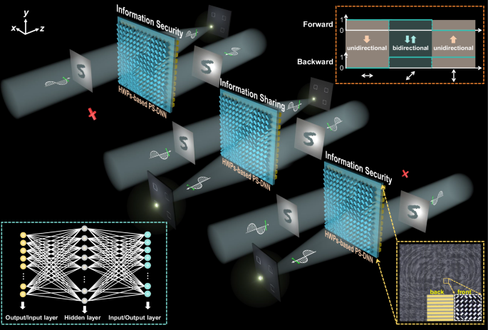 Polarization-selective unidirectional and bidirectional diffractive neural networks for information security and sharing