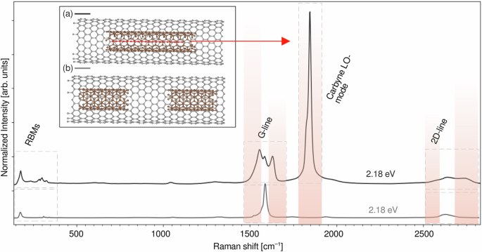 Anharmonic effects control interaction of carbyne confined in carbon nanotubes shaping their vibrational properties