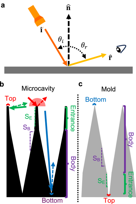Engineering flexible superblack materials | Nature Communications