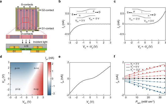 Parallelizing analog in-sensor visual processing with arrays of gate-tunable silicon photodetectors