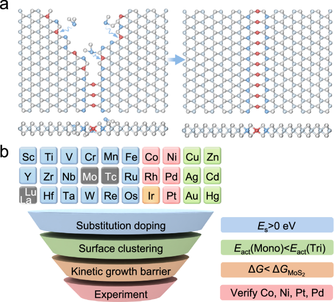 Coherently confined single-metal-atom chains in 2D semiconductors