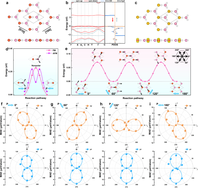 Control of magnetic transitions via interlayer engineering in ferroelectric H2O–OH systems
