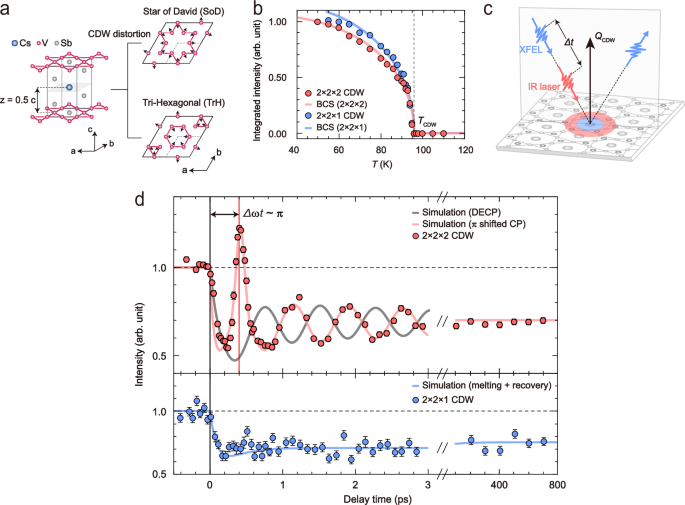 Frustrated phonon with charge density wave in vanadium Kagome metal