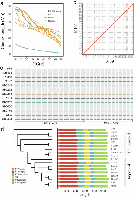 Pangenome analysis reveals yield- and fiber-related diversity and interspecific gene flow in Gossypium barbadense L.