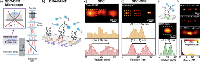 Super-resolution imaging in whole cells and tissues via DNA-PAINT on a spinning disk confocal with optical photon reassignment