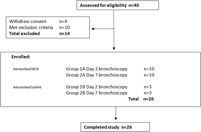 Early mucosal responses following a randomised controlled human inhaled infection with attenuated Mycobacterium bovis BCG