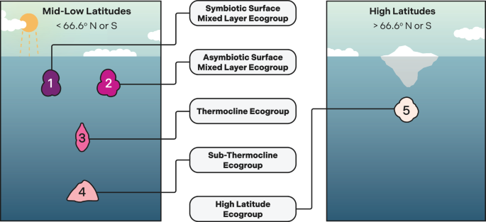 Regional restructuring in planktic foraminifera communities through Pliocene-early Pleistocene climate variability