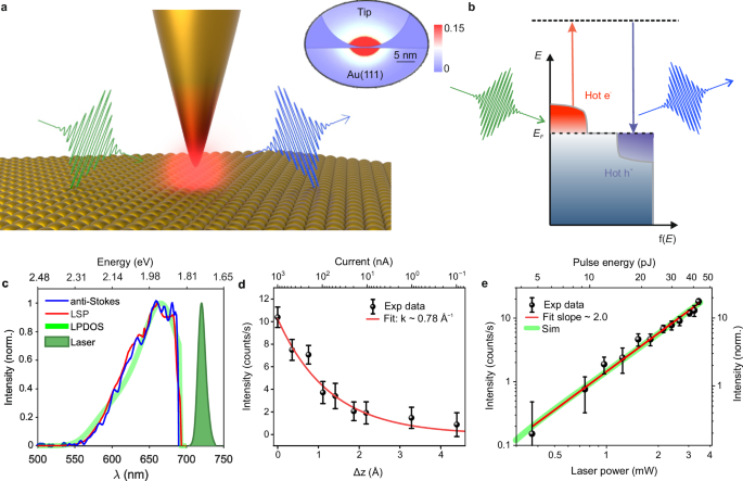 Visualizing hot carrier dynamics by nonlinear optical spectroscopy at the atomic length scale