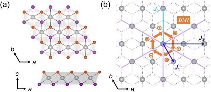 Dzyaloshinskii–Moriya interaction manipulation in multiferroic Janus monolayers