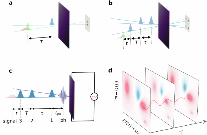 Multidimensional coherent spectroscopy of correlated lattice systems
