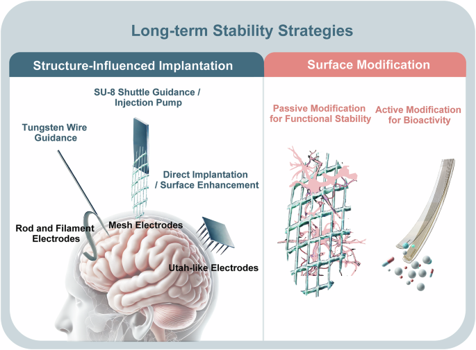 Long-term stability strategies of deep brain flexible neural interface