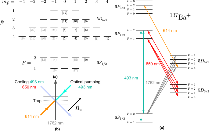 Control and readout of a 13-level trapped ion qudit