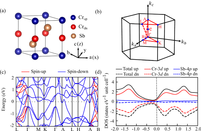 Néel vector-dependent anomalous transport in altermagnetic metal CrSb