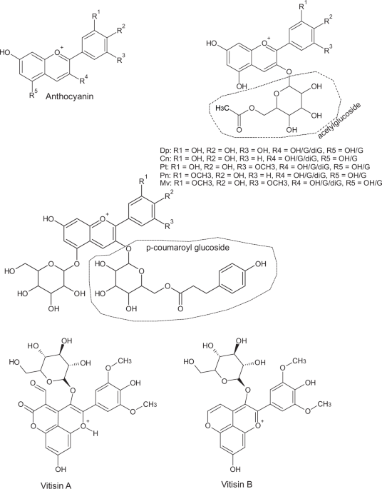 Chemical and sensory properties of South Tyrol red wines from disease-resistant and Vitis vinifera cultivars