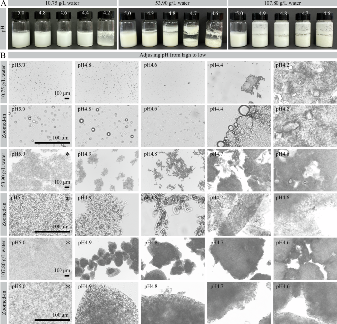 Controlled preparation of fish oil powders via complex coacervation and genipin crosslinking