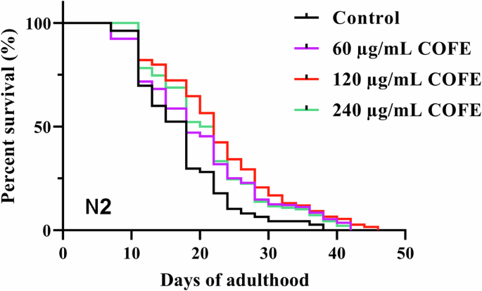 Transcriptomic analysis reveals molecular mechanism by which Chinese olive fruit prolongs lifespan of Caenorhabditis elegans