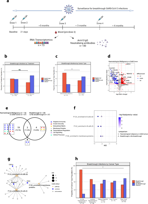 Cancer type and gene signatures associated with breakthrough infections following COVID-19 mRNA vaccination