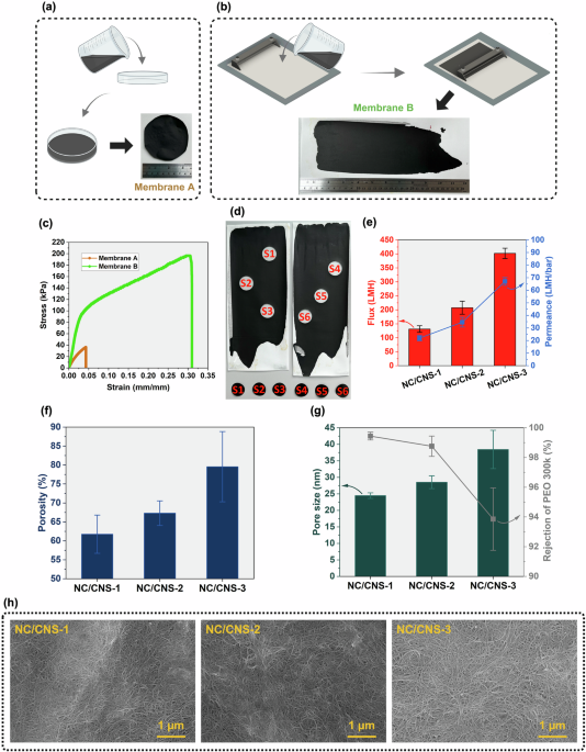 Dynamic modulation of separation performance in electrically conductive polyamide membranes with scalable fabrication potential