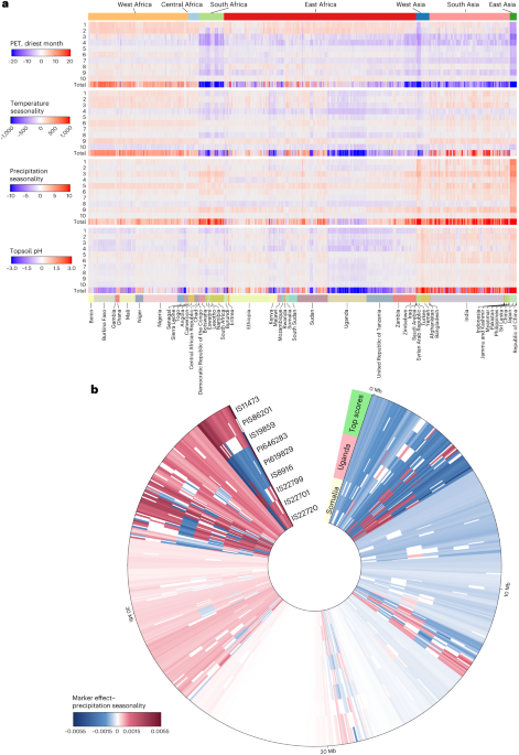 Prioritizing parents from global genebanks to breed climate-resilient crops