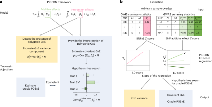 PIGEON: a statistical framework for estimating gene–environment interaction for polygenic traits
