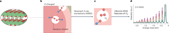 Extrinsic observation and intrinsic state