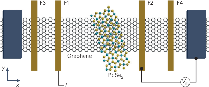 Anisotropic spin transport in proximitized graphene