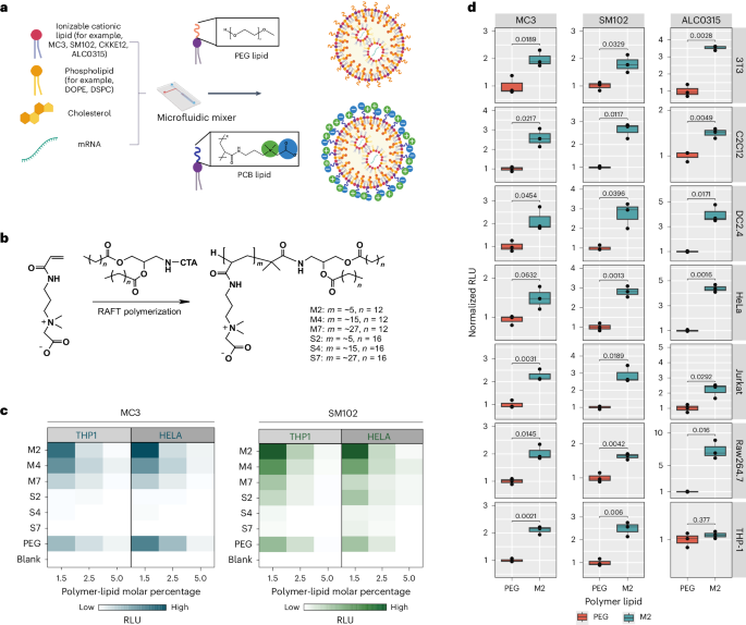 Poly(carboxybetaine) lipids enhance mRNA therapeutics efficacy and reduce their immunogenicity