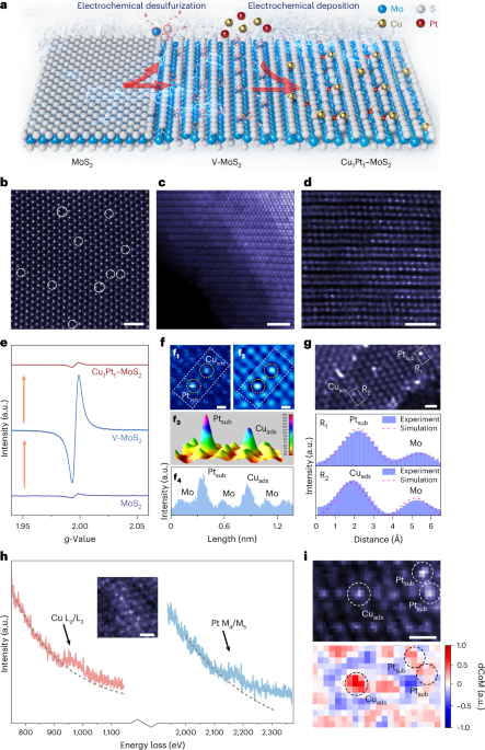 Electric bias-induced reversible configuration of single and heteronuclear dual-atom catalysts on 1Tʹ-MoS2