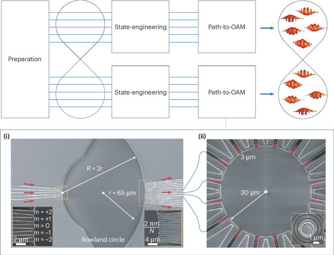 Twisting entangled photons on a chip