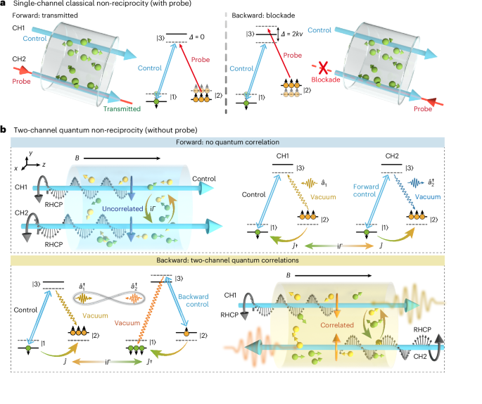 Chirality-induced quantum non-reciprocity | Nature Photonics