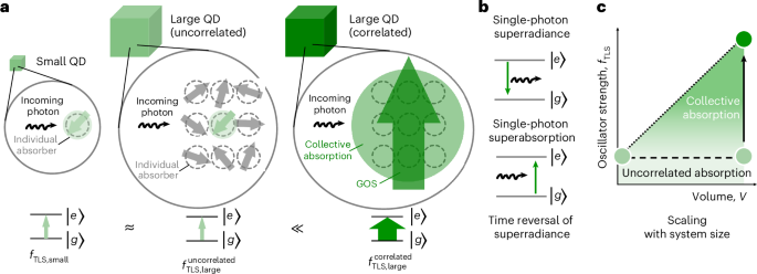 Single-photon superabsorption in CsPbBr3 perovskite quantum dots