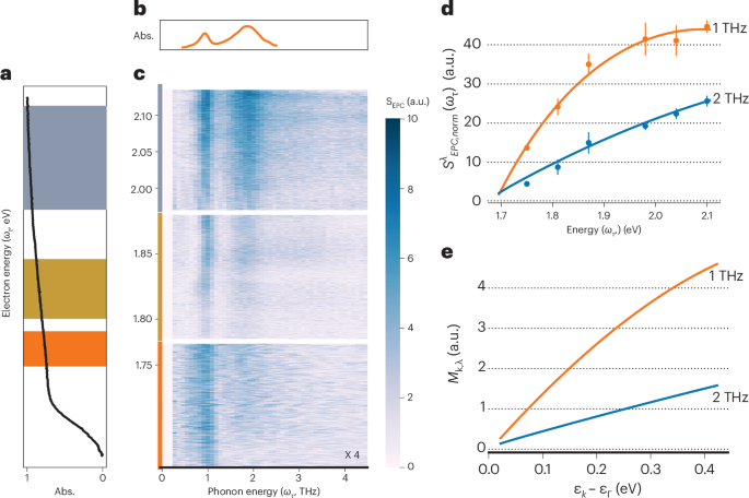 Electron–phonon coupling resolved by phonon mode and electron energy